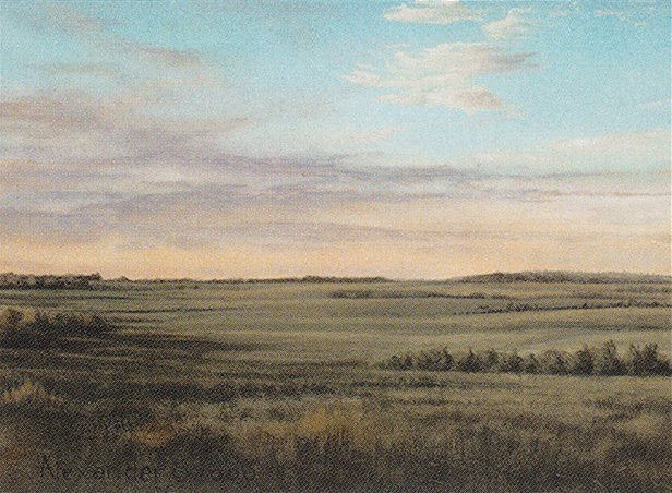 Plains