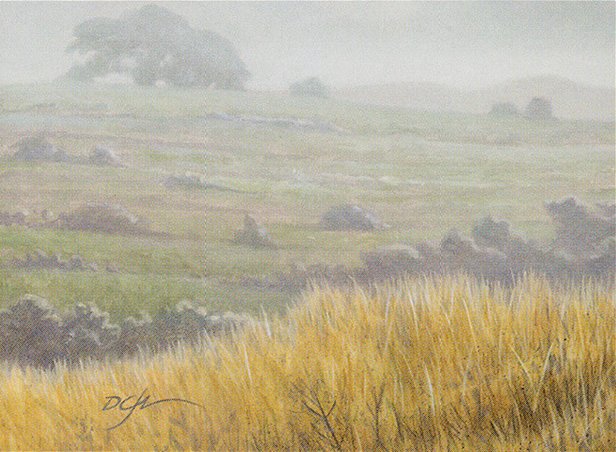 Plains