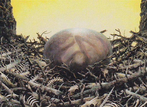 Roc Egg
