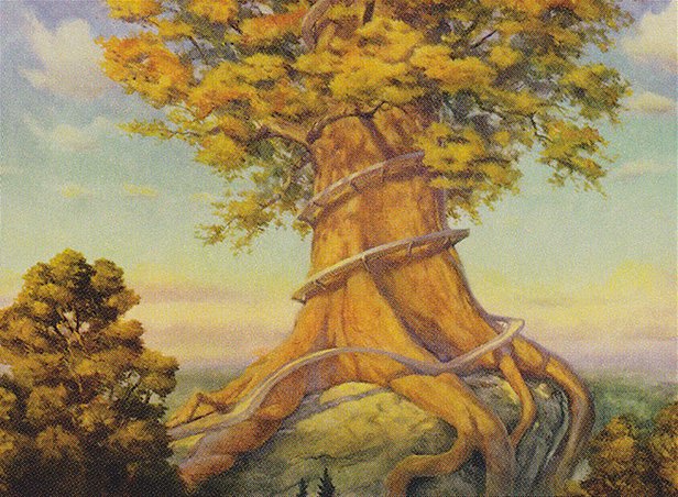 Rootbound Crag