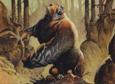 Runeclaw Bear