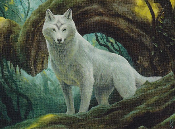 Sacred Wolf