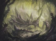Swamp