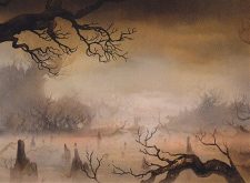 Swamp