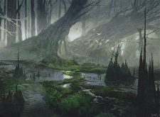 Swamp