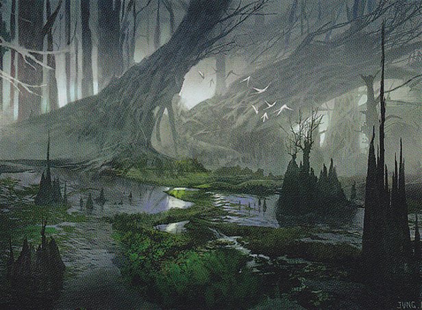 Swamp