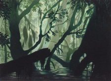 Swamp