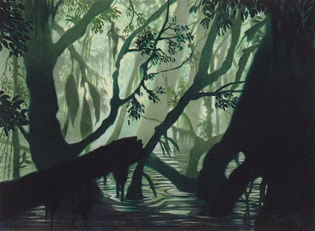Swamp