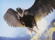 Arctic Aven