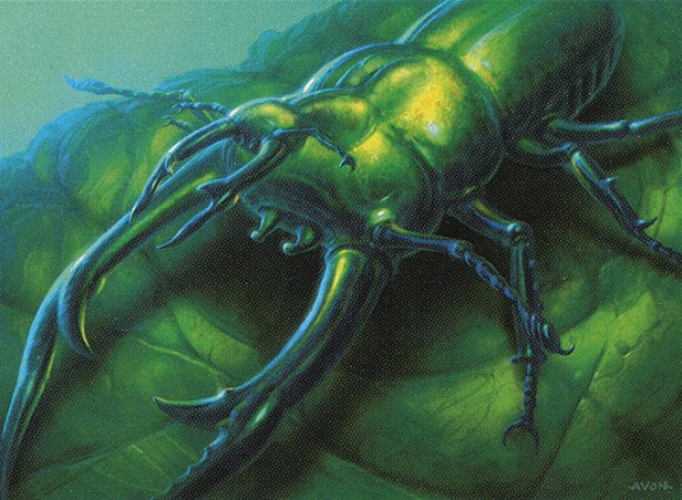 Bond Beetle