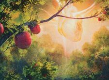 Bountiful Harvest