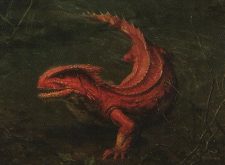 Crimson Muckwader