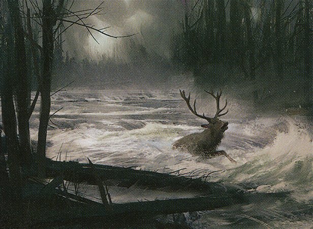 Downpour