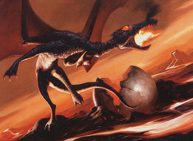 Dragon Hatchling