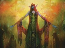 Elvish Visionary