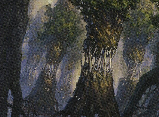 Evolving Wilds