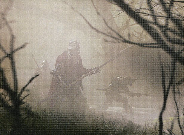 Fog