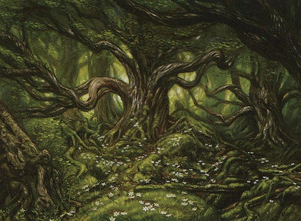 Forest