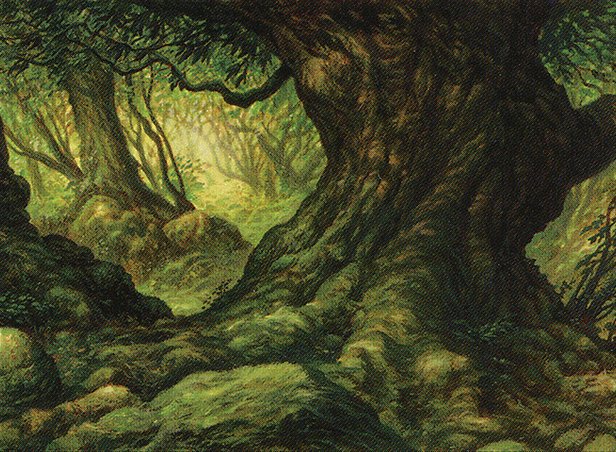 Forest