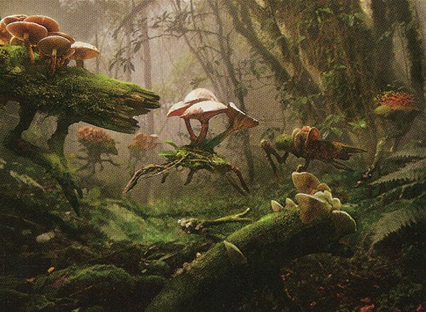 Fungal Sprouting
