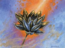Gilded Lotus