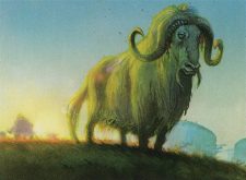 Pillarfield Ox