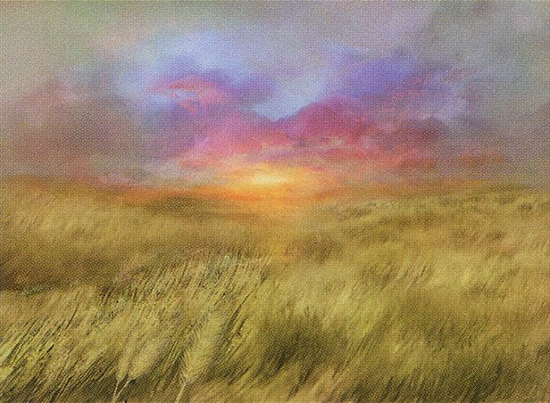 Plains
