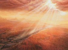 Plains