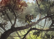 Ranger’s Path