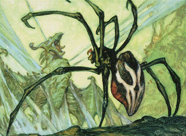 Silklash Spider