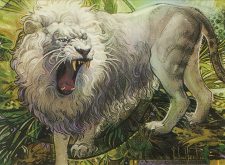 Silvercoat Lion