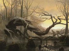 Swamp