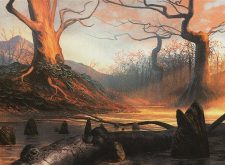 Swamp
