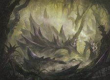 Swamp