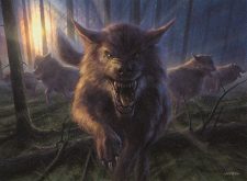 Timberpack Wolf