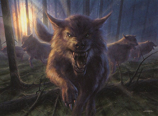 Timberpack Wolf