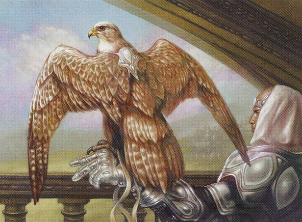 War Falcon