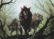 Briarpack Alpha