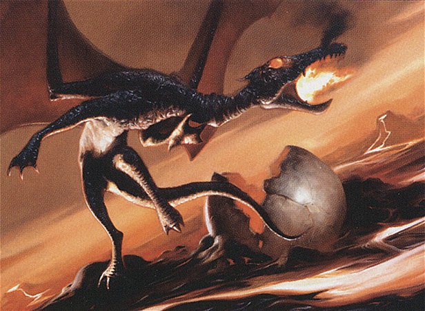 Dragon Hatchling