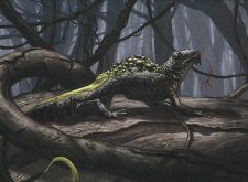 Festering Newt