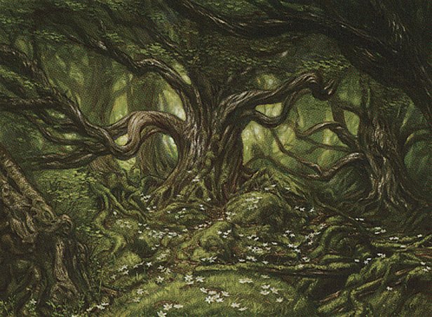 Forest