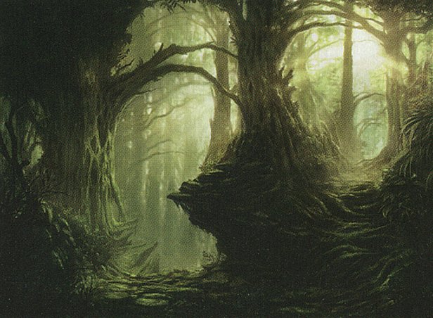 Forest