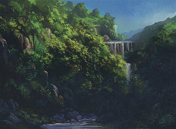 Forest