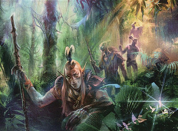 Into the Wilds