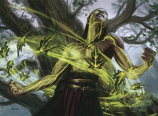 Oath of the Ancient Wood