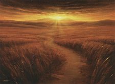 Plains