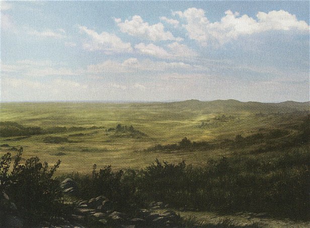 Plains