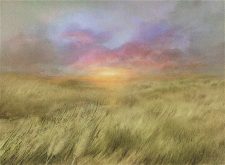 Plains