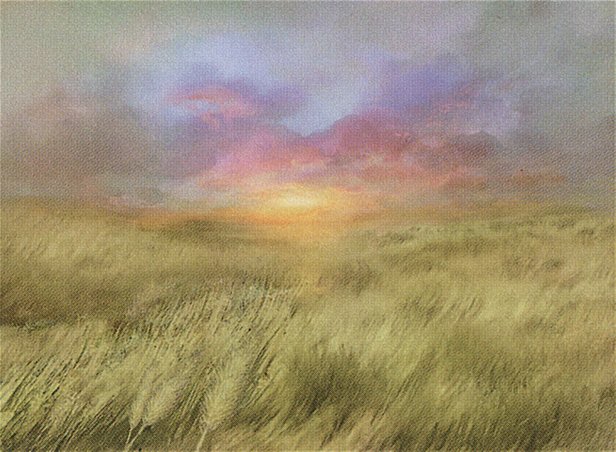 Plains