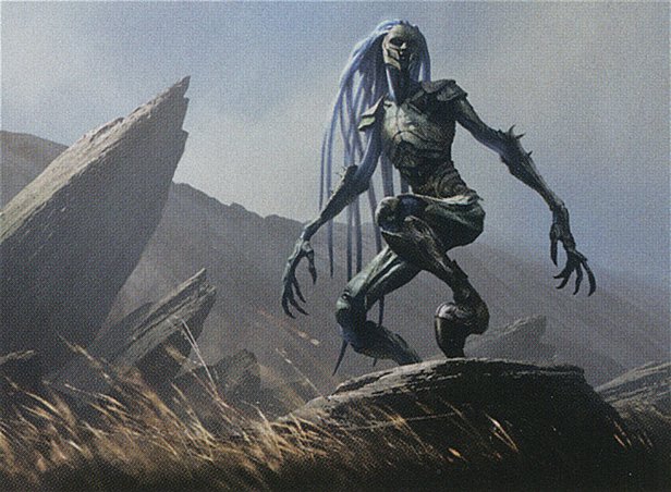Steelform Sliver